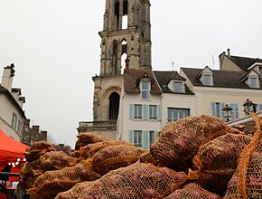 Agrandir l'image (fenêtre modale)