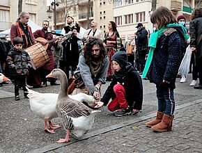 Agrandir l'image (fenêtre modale)