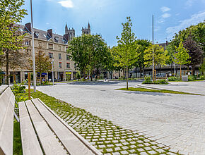 Agrandir l'image (fenêtre modale)