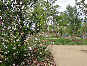 Agrandir l'image (fenêtre modale)