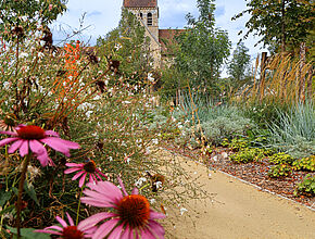 Agrandir l'image (fenêtre modale)