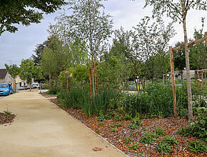 Agrandir l'image (fenêtre modale)