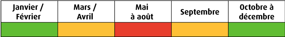 Agrandir l'image (fenêtre modale)