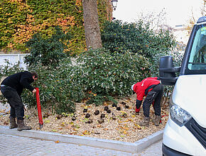 Agrandir l'image (fenêtre modale)