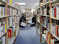 Agrandir l'image (fenêtre modale)