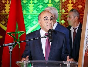 Agrandir l'image (fenêtre modale)
