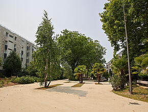 Agrandir l'image (fenêtre modale)