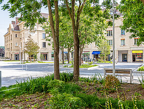 Agrandir l'image (fenêtre modale)