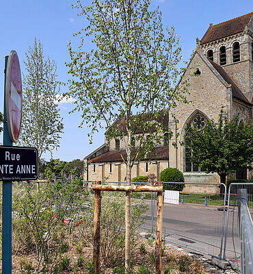 Agrandir l'image (fenêtre modale)