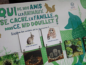 Agrandir l'image (fenêtre modale)