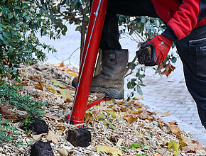 Agrandir l'image (fenêtre modale)